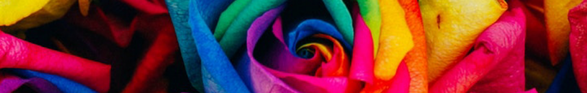 The Faithful Skeptic